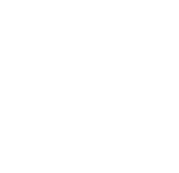 Effet de Steel - intervention dans la Marne